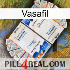 Vasafil kamagra1